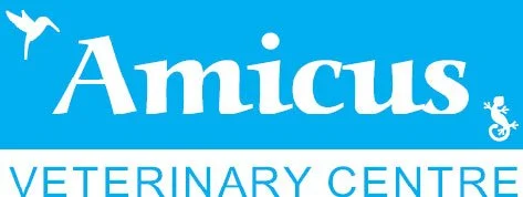 Amicus-Vet-Veterinary-Surgery-Solihull.jpg