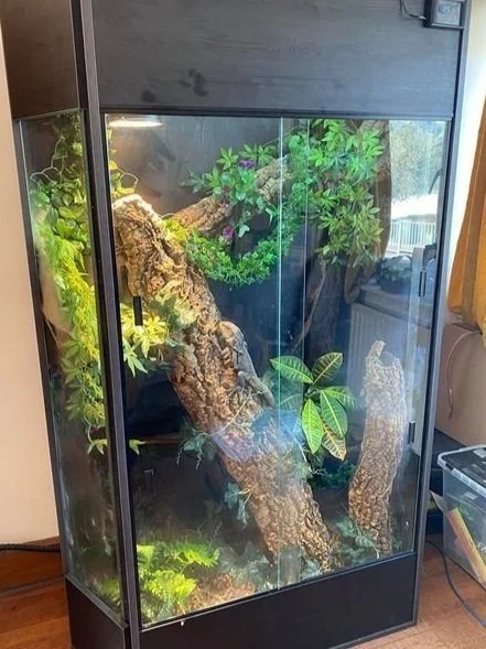 Viv-Vivarium-Housing-Solid-Built-KBN-Reptiles-Coventry-Custom-made