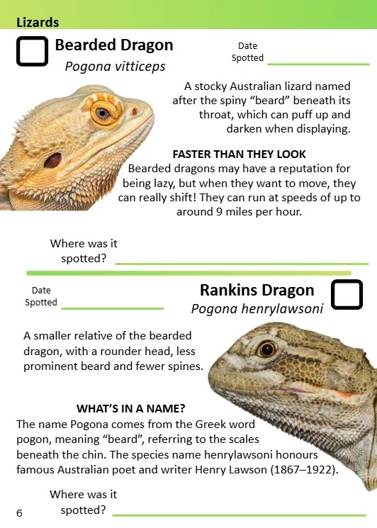Spotters Guide.jpg