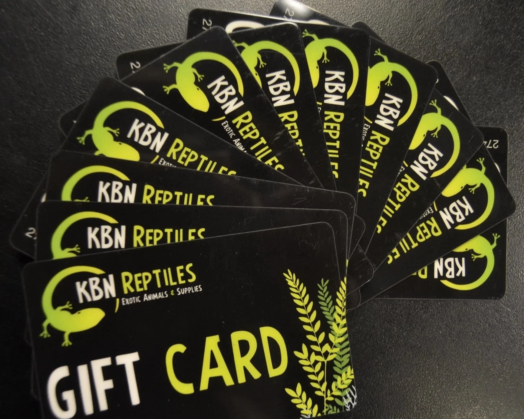 A fanned stack of black gift cards with the text 'KBN Reptiles' and 'Exotic Animals & Supplies' in white and yellow, featuring a yellow gecko logo and decorative yellow fern leaves on a black background.