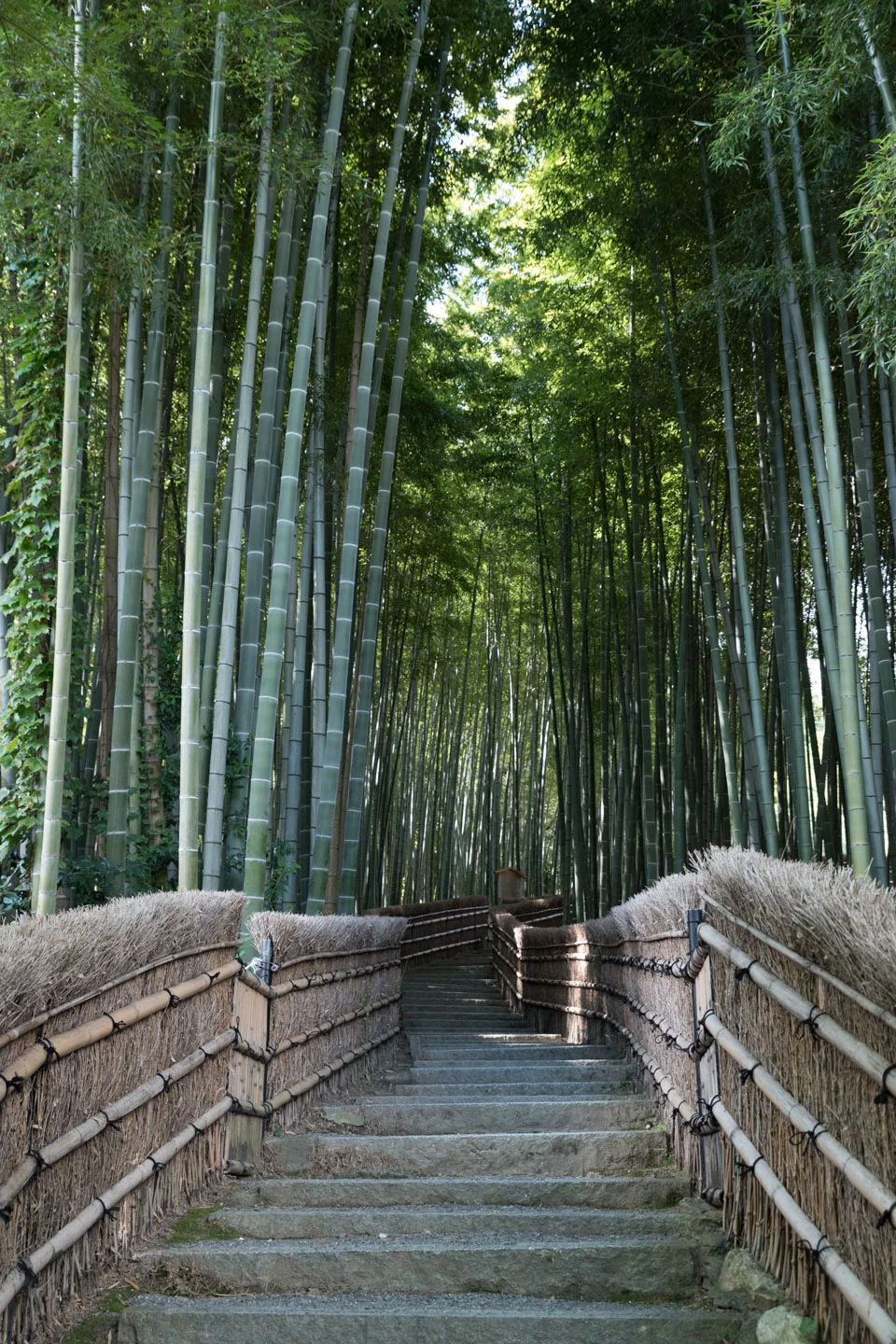 Arashiyama