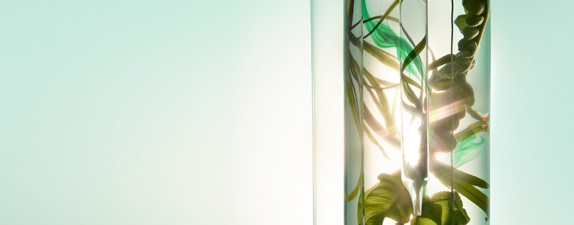 ELEMIS_our-story-banner.jpg