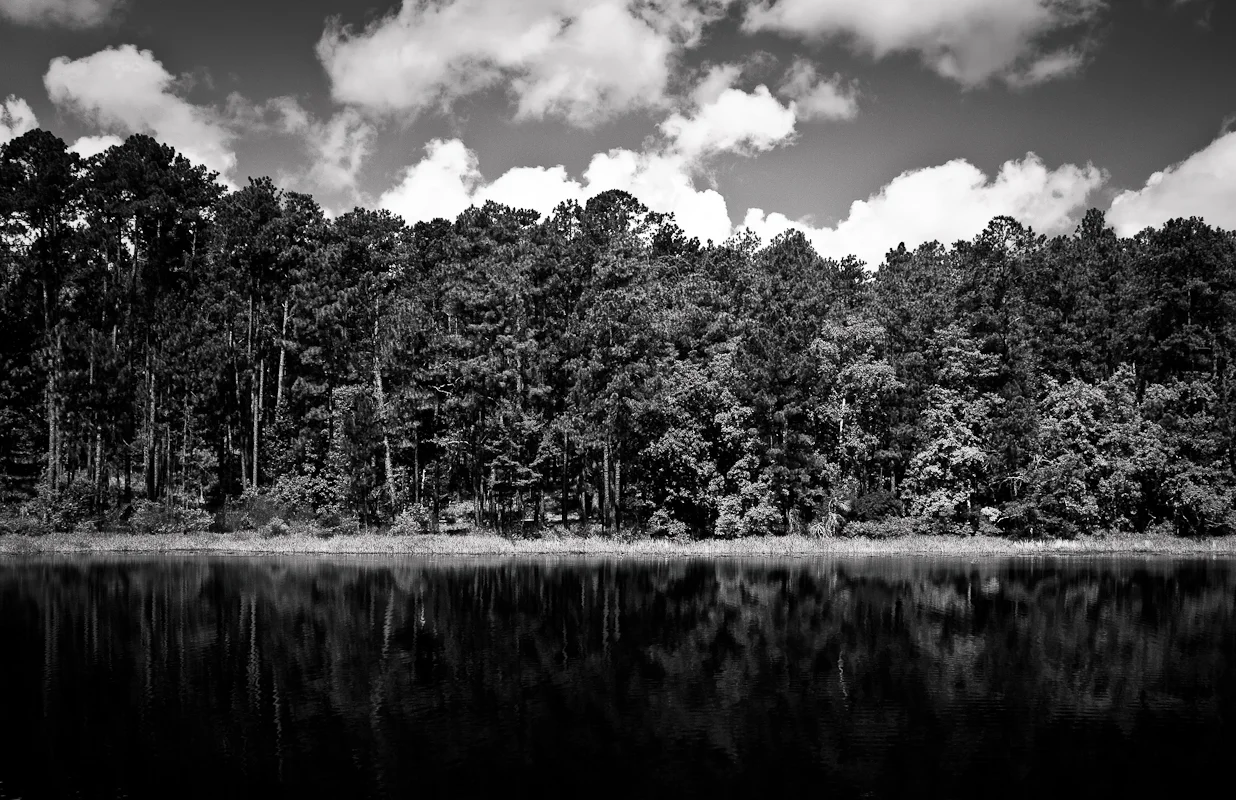reflection_in_bw_large.jpg