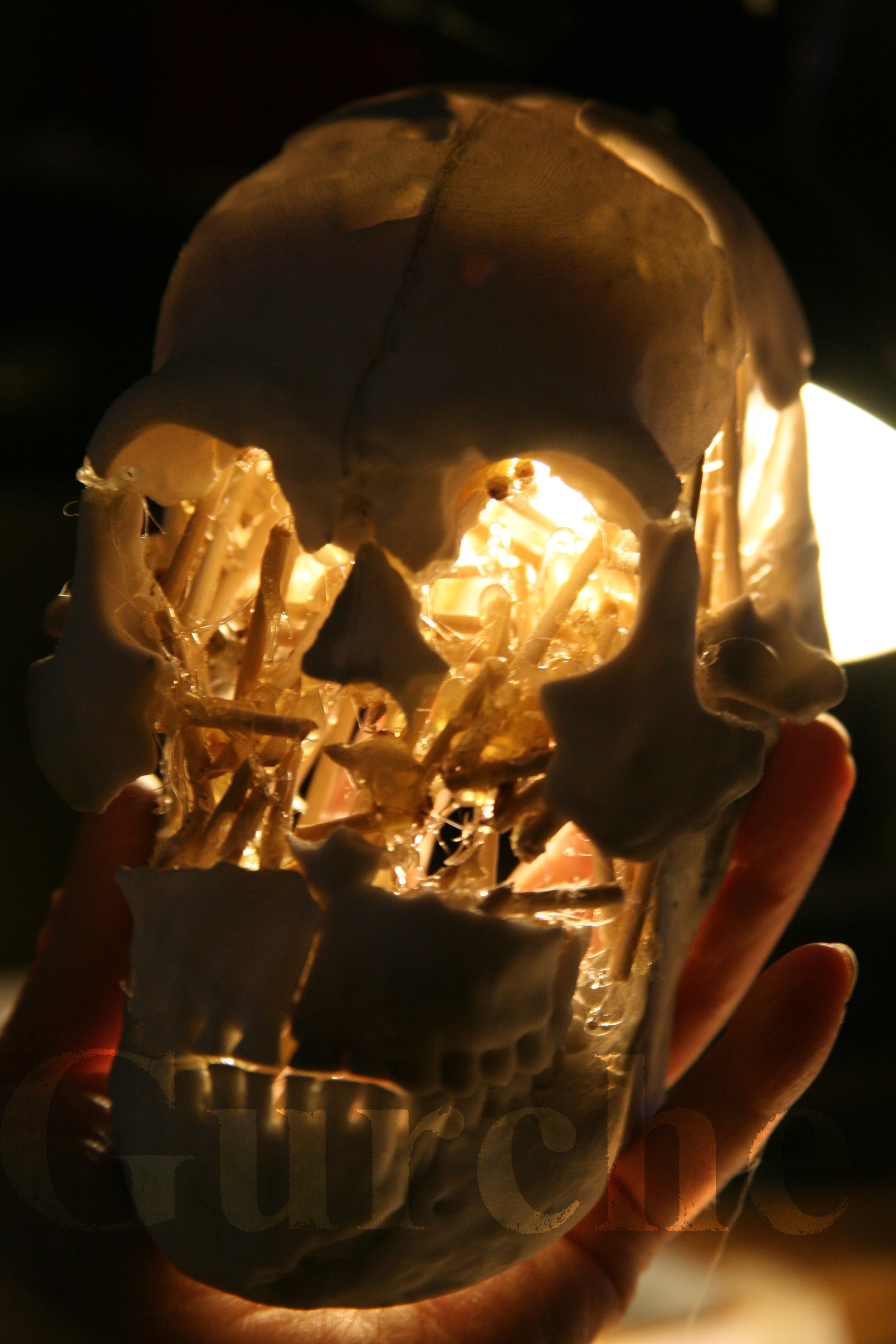Homo naledi composite male skull reconstruction in progress IMG_0940.jpg