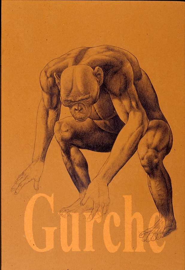 A. africanus male figure drawing, based on Stw 431, Sts 7 and Stw 505 .