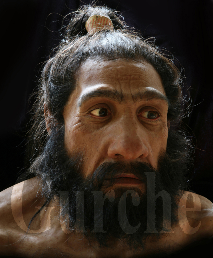 Homo neandertalensis  