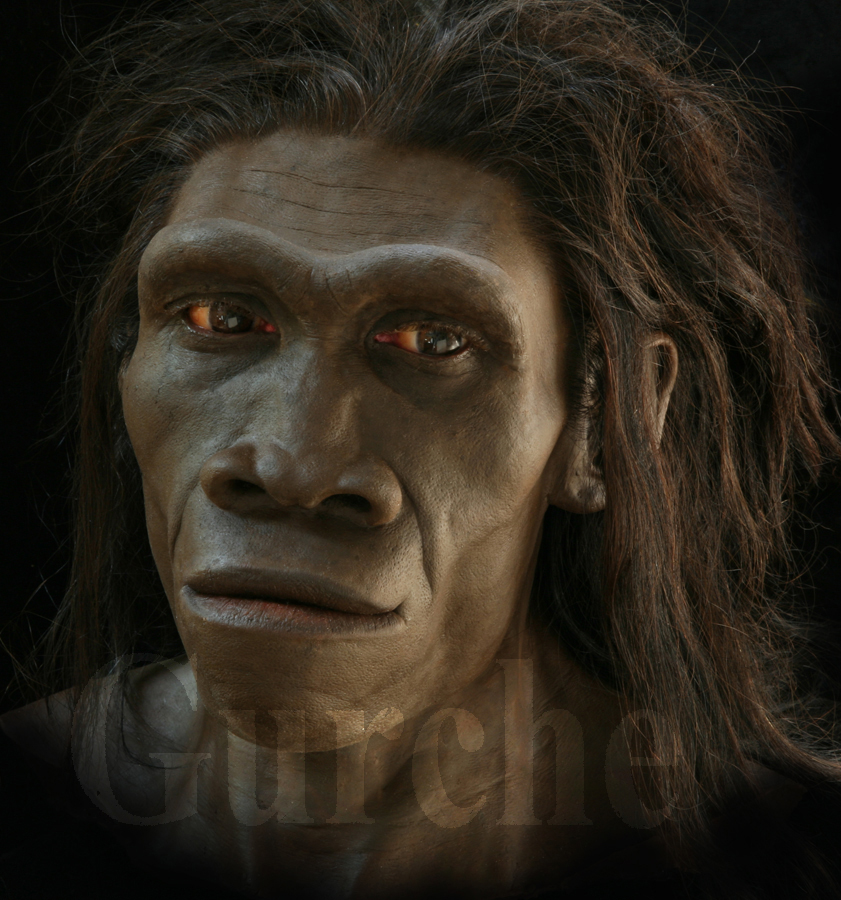 IMG 807 Homo erectus female based on ER 3733 and ER 992.jpg