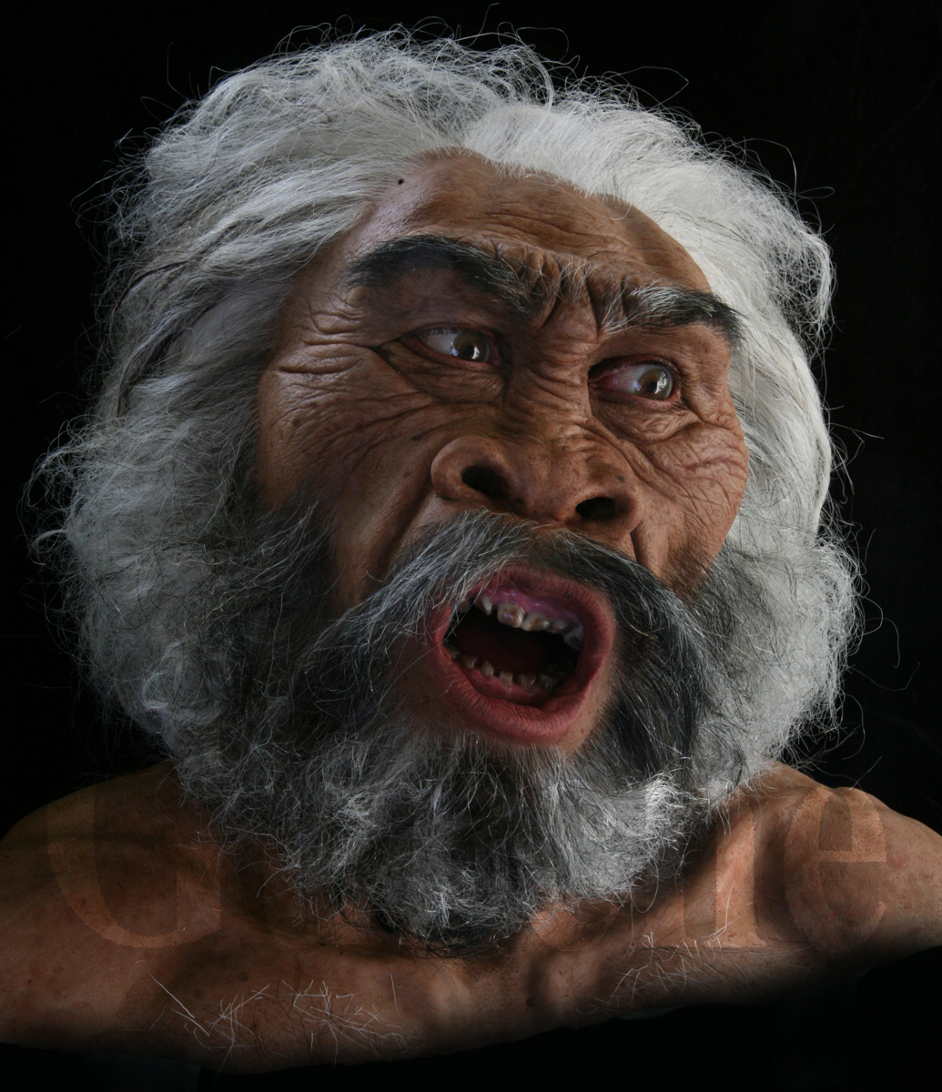 IMG_0047a Homo erectus male at Dmanisi based on skull 5.jpg