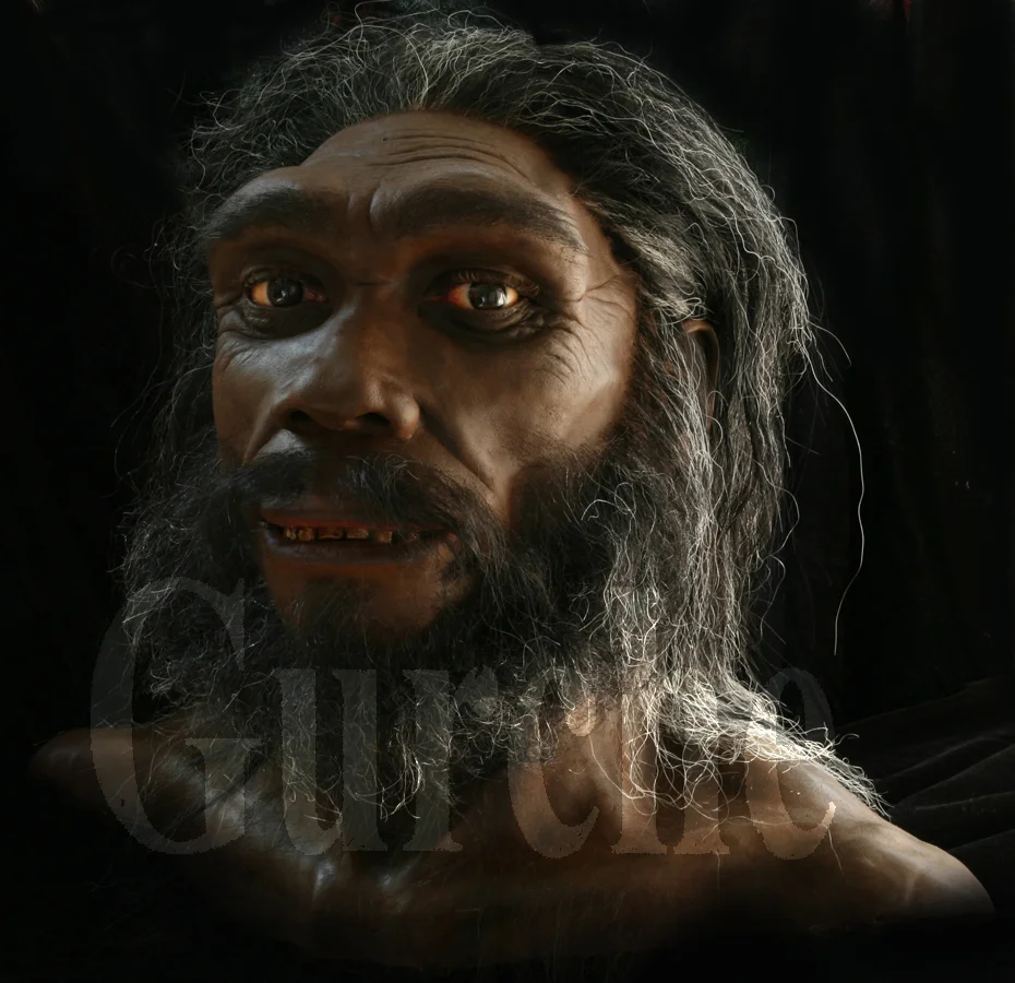 IMG_655 Homo heidelbergensis based on the Kabwe skull.jpg