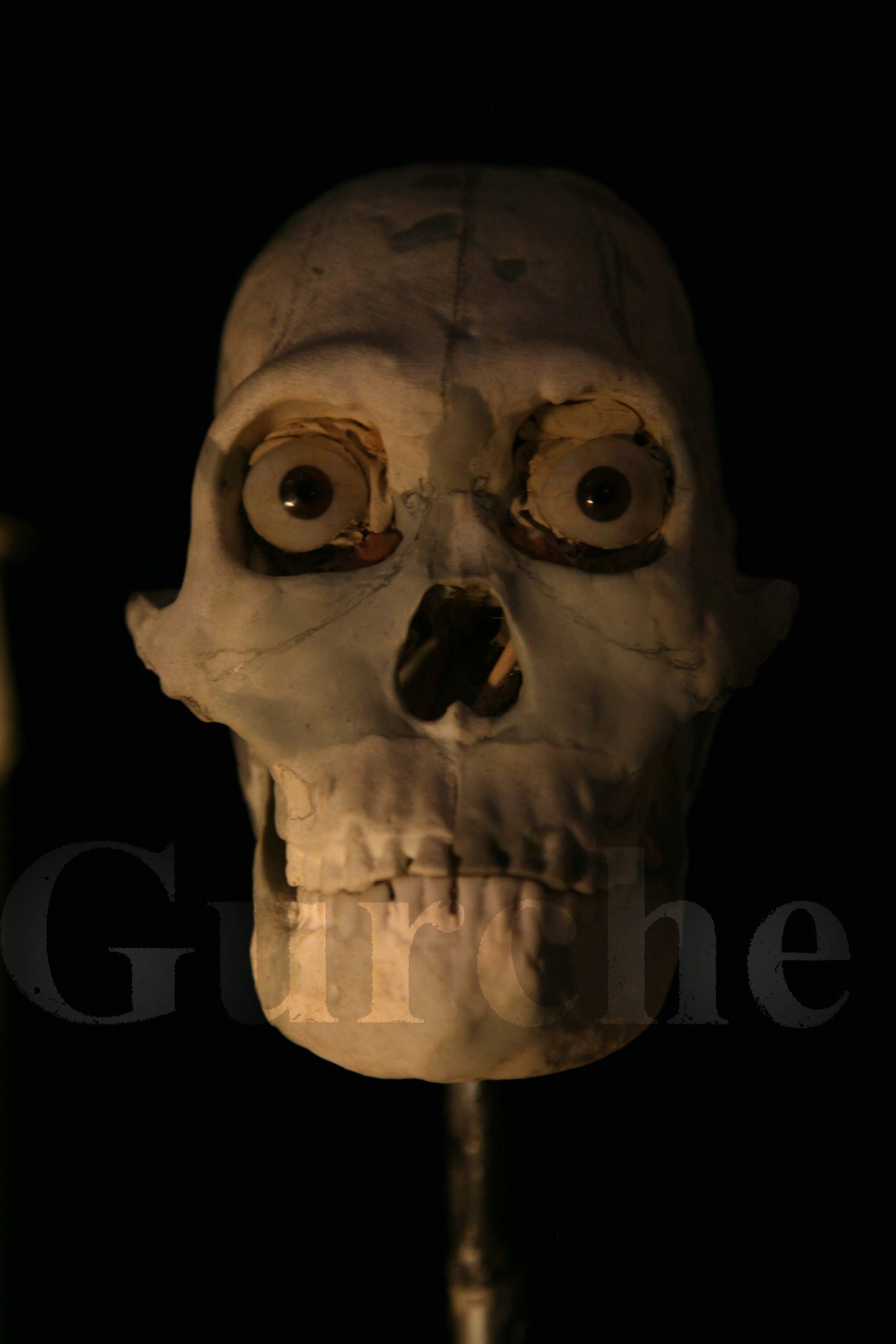 Homo naledi reconstruction in progress 1 IMG_1074.jpg
