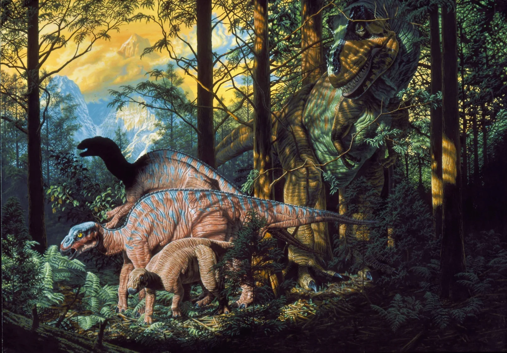 Edmontosaurs and tyrannosaur. This painting, also done for the January, 1993 issue of National Geographic Magazine, depicts hadrosaurs (duckbills) and a stealthy tyrannosaur found on Alaska’s North Slope, which was even further north at this time in the late Cretaceous Period than it is today. These dinosaurs were either adapted to the cold and dark, or migrated long distances as their relatives, the birds, do today. $80,000