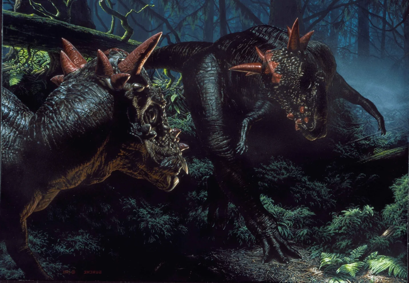 Stygimoloch . This painting, painted for the January, 1993 issue of National Geographic Magazine but not used, depicts two Stygimoloch facing off. Their odd headgear is interpreted as visual display structures. In a broad range of vertebrates, such displays often resolve a conflict before it becomes a fight. $80,000