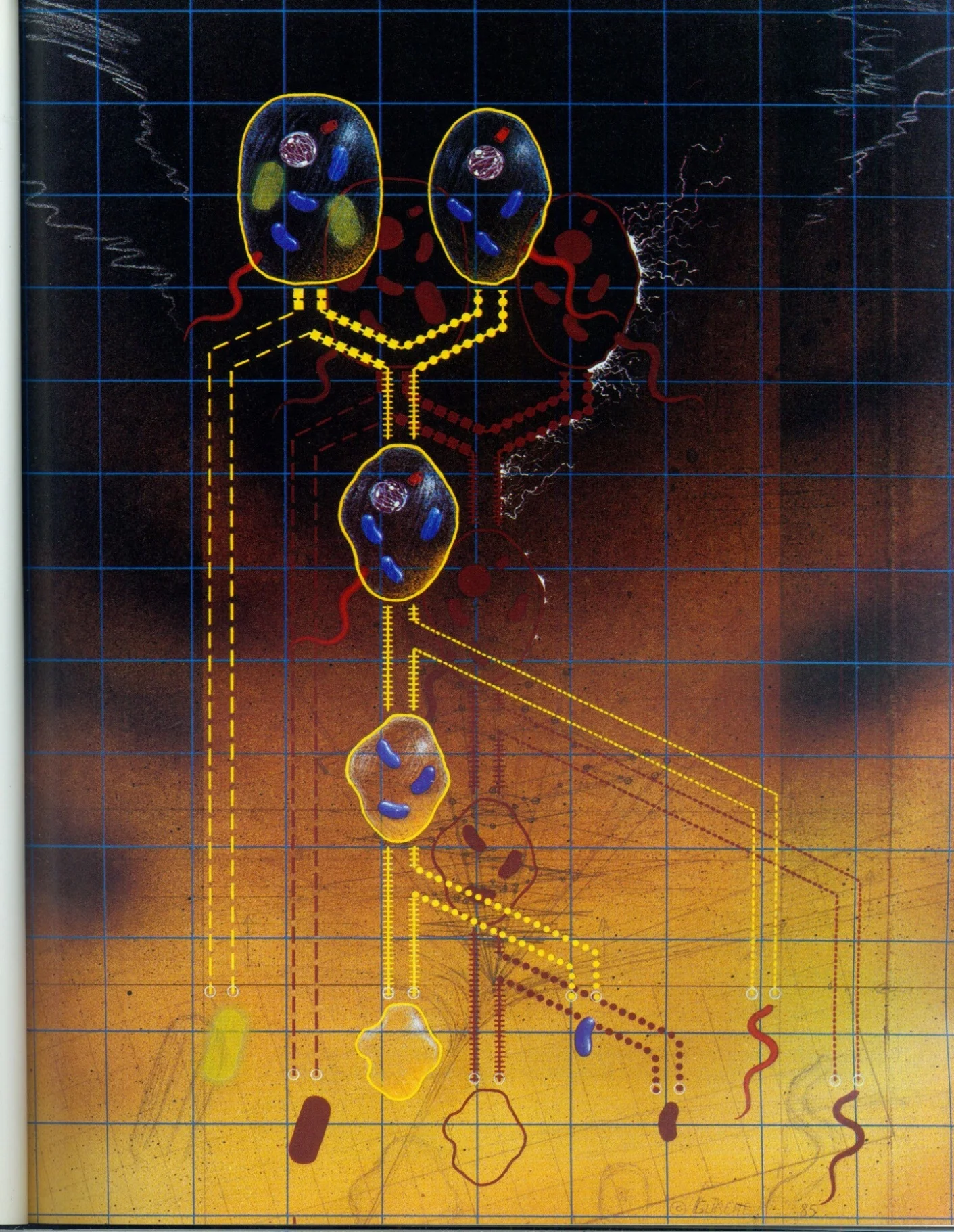The origin of the eukaryotic cell. The Rise of Life. $25,000
