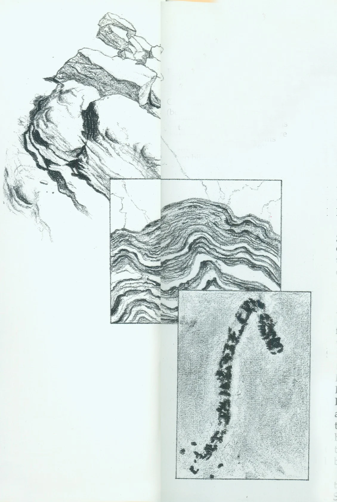 Early fossil cells from the Gunflint Formation. The Rise of Life. $5,000