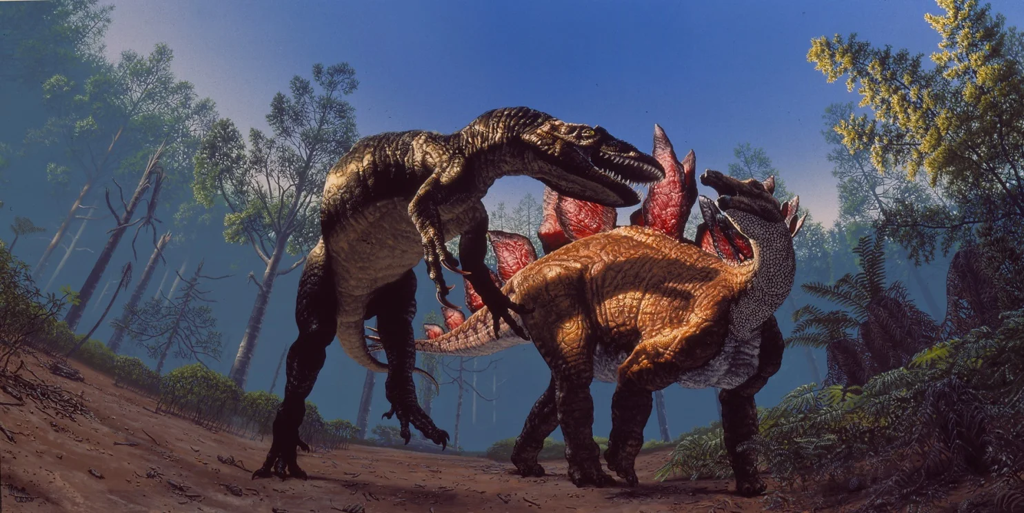 Allosaurus and Stegosaurus, commissioned by the Denver Museum of Nature and Science, cover art for Prehistoric Journey . $75.000