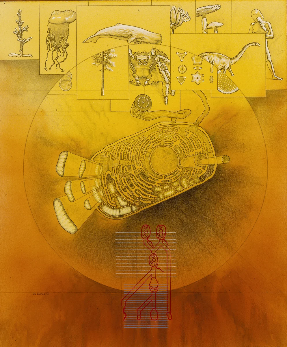 The eukaryotic cell. John Reader’s The Rise of Life . $5,000
