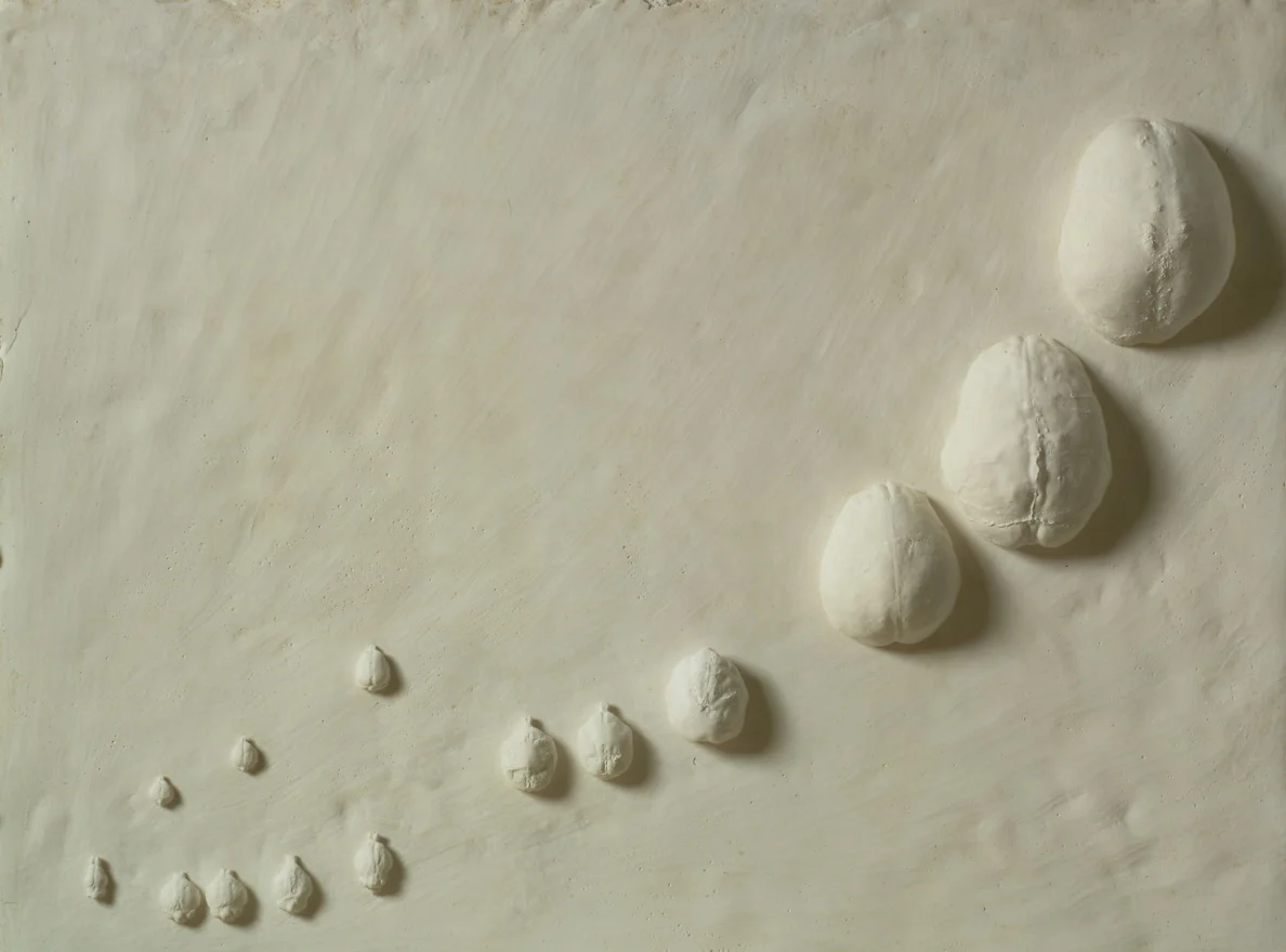 Brain Evolution bas relief using actual endocranial casts of extinct primates. Time is the x axis. Brain size is the y axis. John Reader’s The Rise of Life . Dental Stone. $50,000
