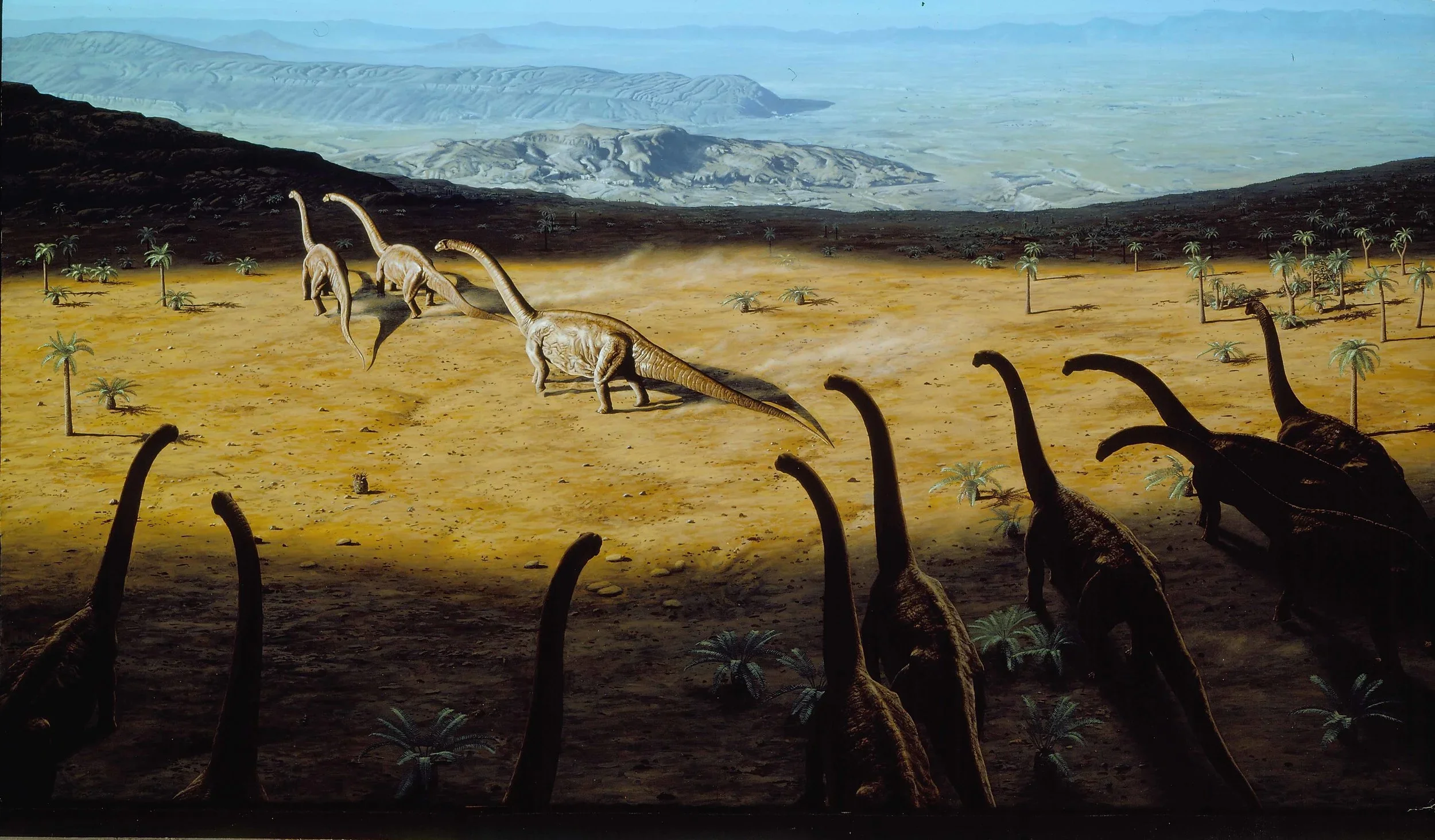 Diplodocus+herd++lite.webp