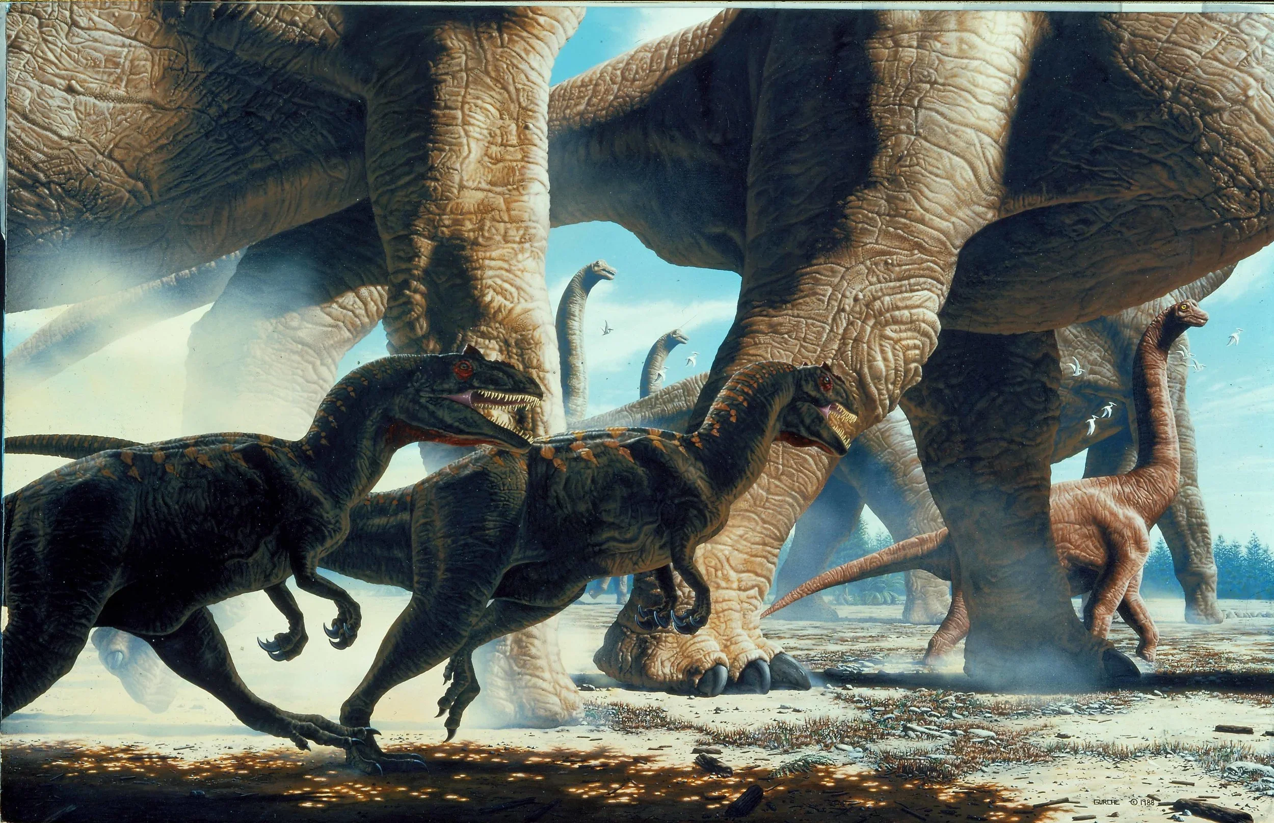 Ultrasaurus+(largest+dinosaur)+and+Allosaurus+lite.webp