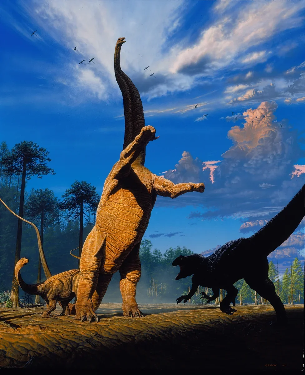 y+Barosaurus+more+reduced.webp