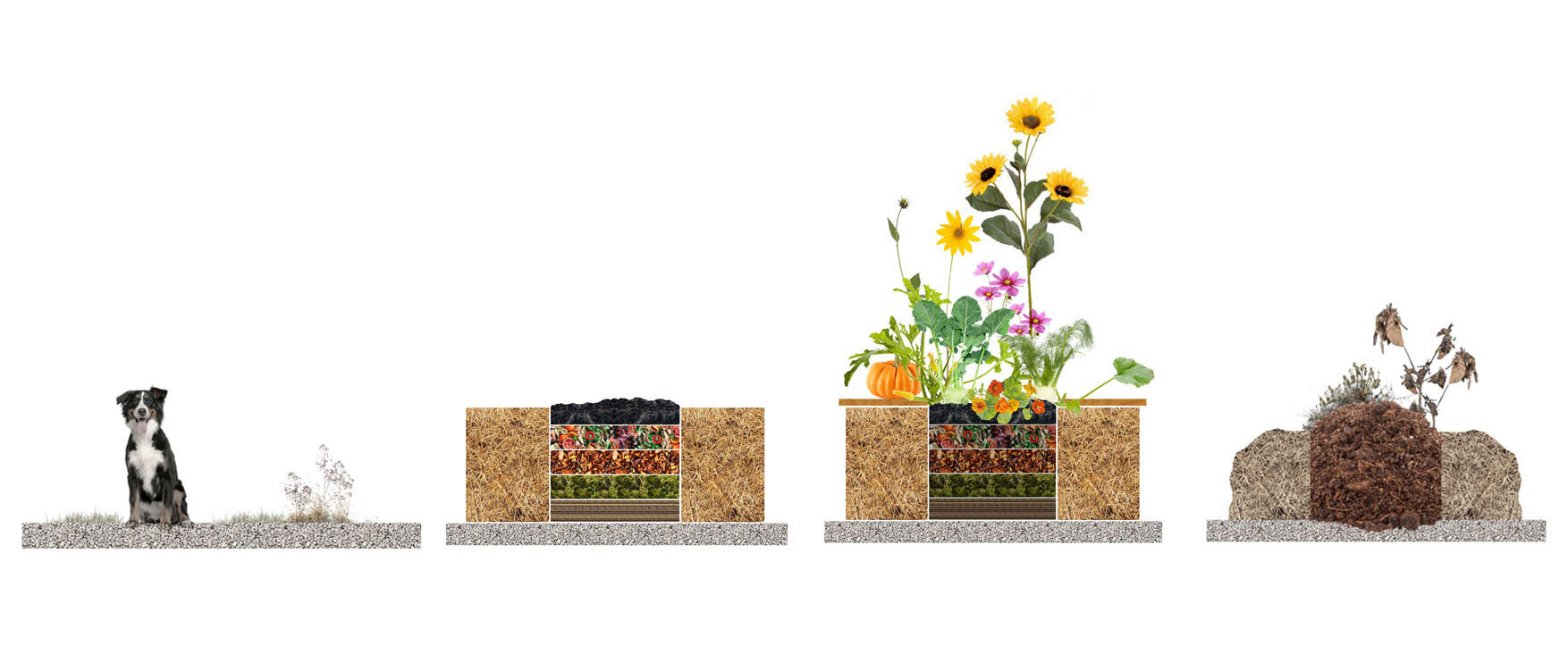 principe lasage web.jpg