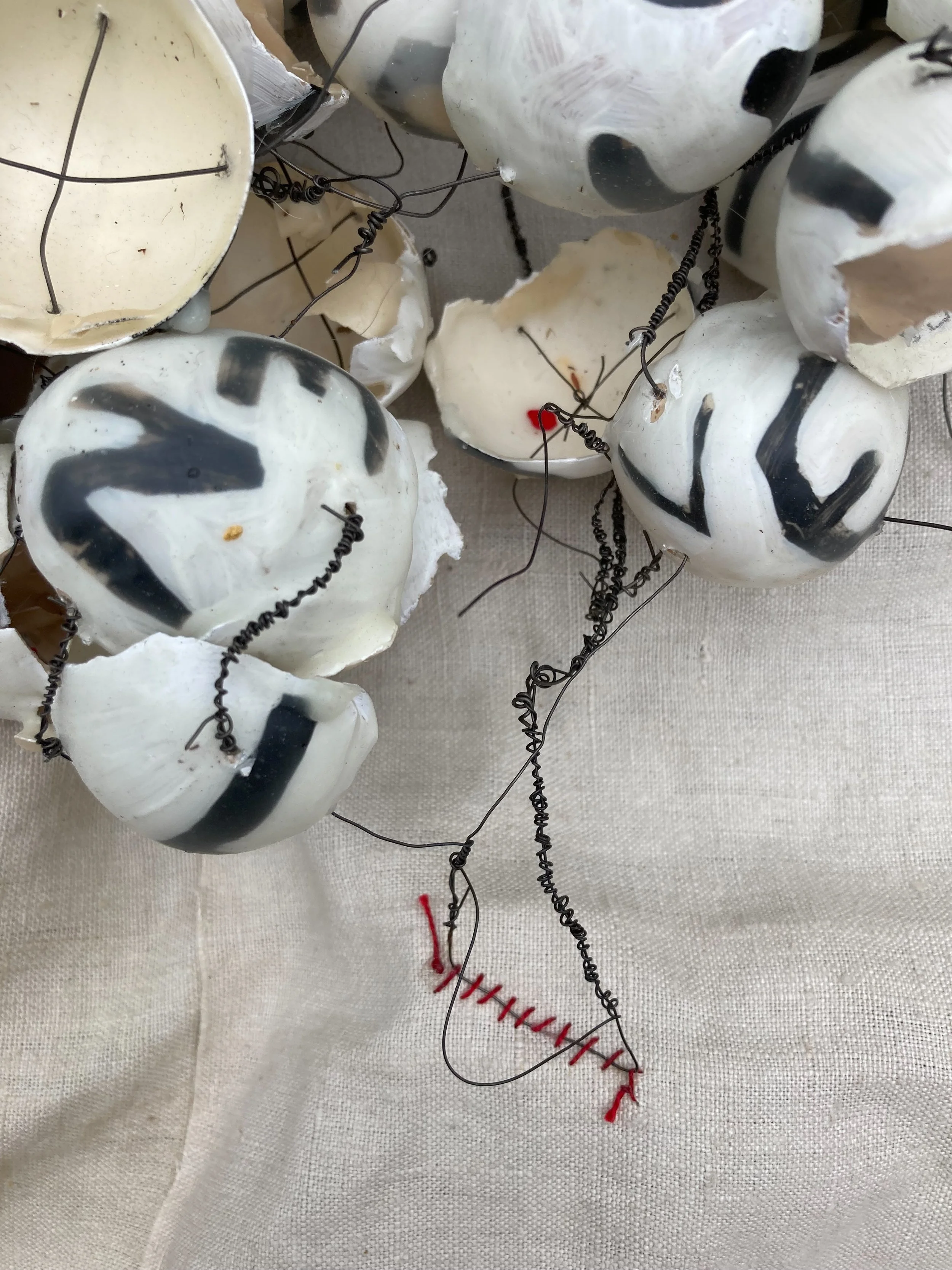 Eggshells