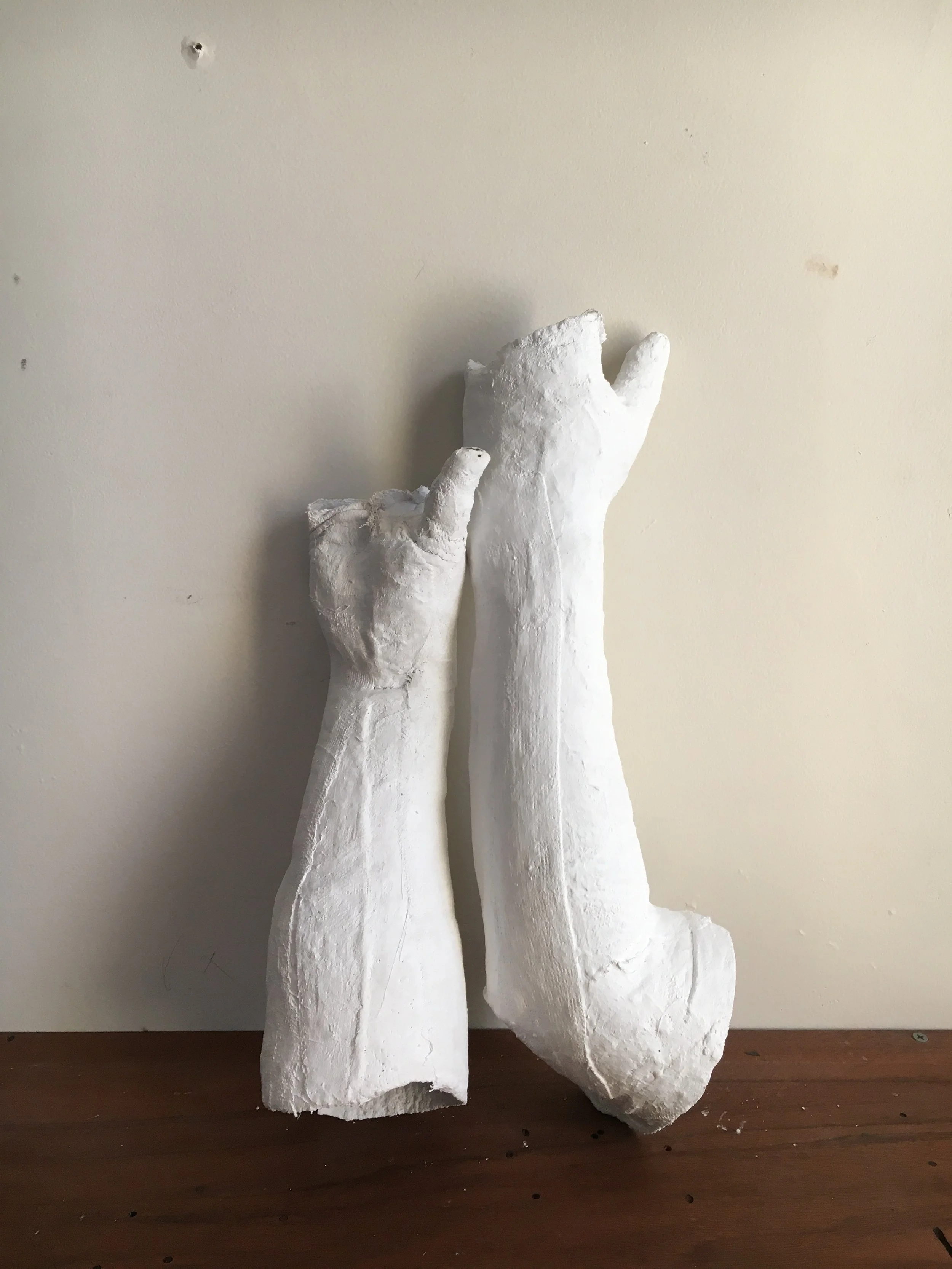 IMG_0710.jpeg
