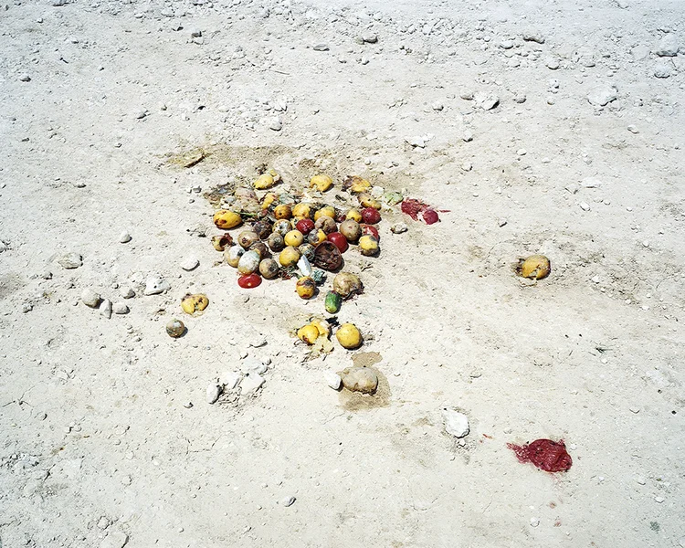 fruit1.jpeg