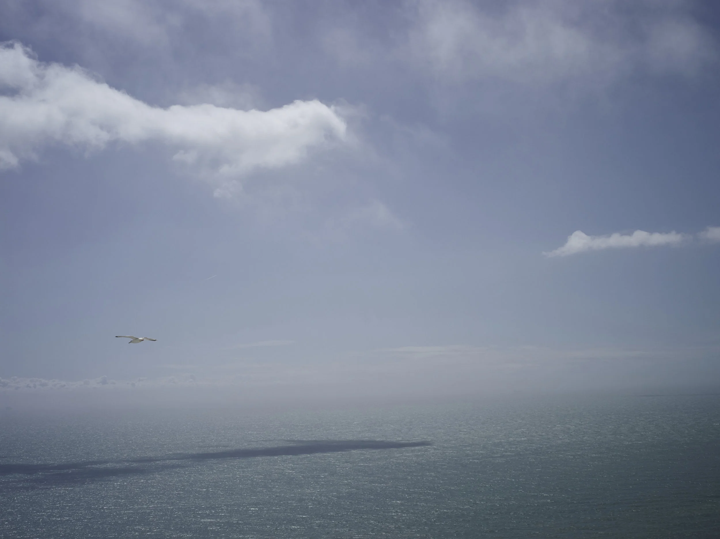 langdon cliffs, dover_17-05-14__IGP0547.jpg