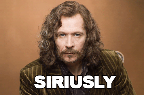 What-did-you-say-Anchorman-GIF.gif