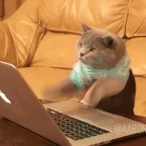 Adults trying to keep up with teen trends be like...