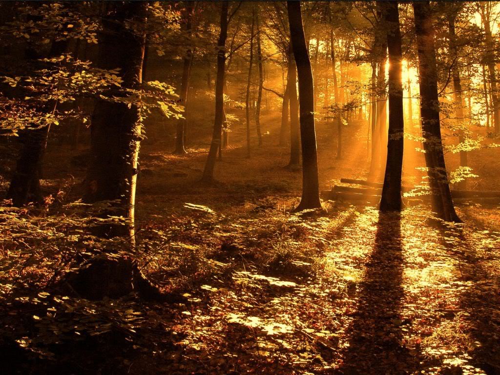 natural light with shadows.jpg
