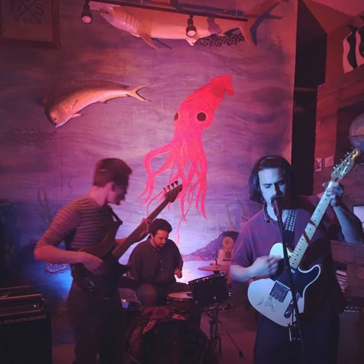 ¡Friendsgiving Fiesta! Rollo / Say It! / Hot Gin / Suaze @ The Firehouse