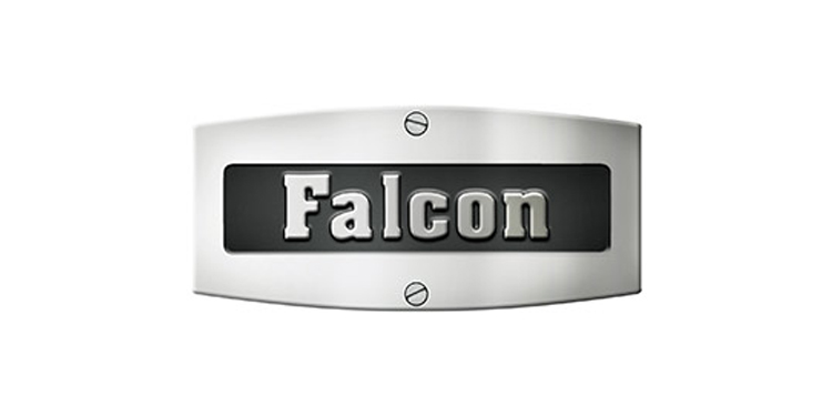 falcon.jpg