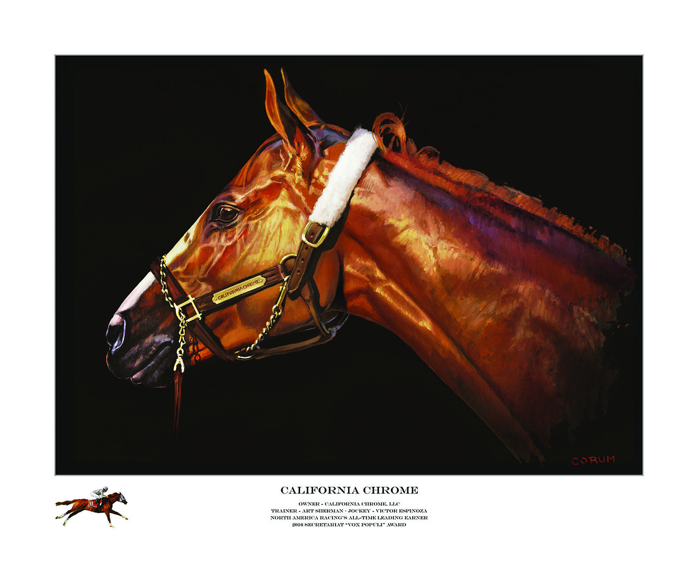 California Chrome poster