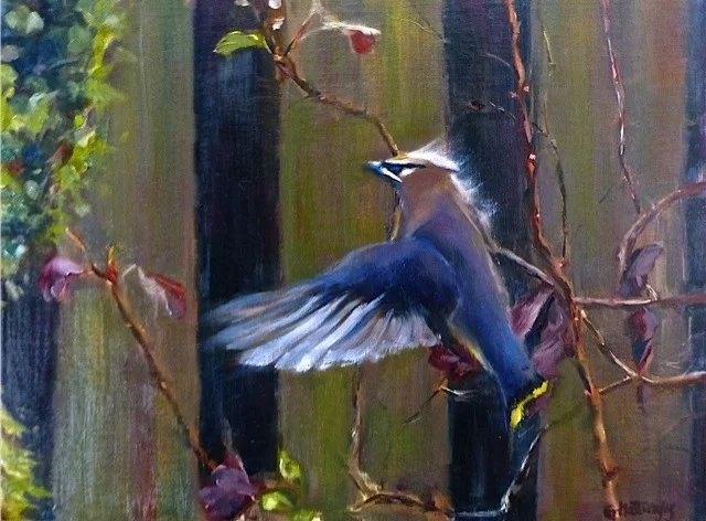 Cedar Wax Wing