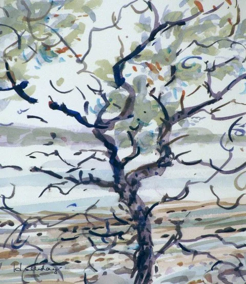 Robert Halliday, Animated