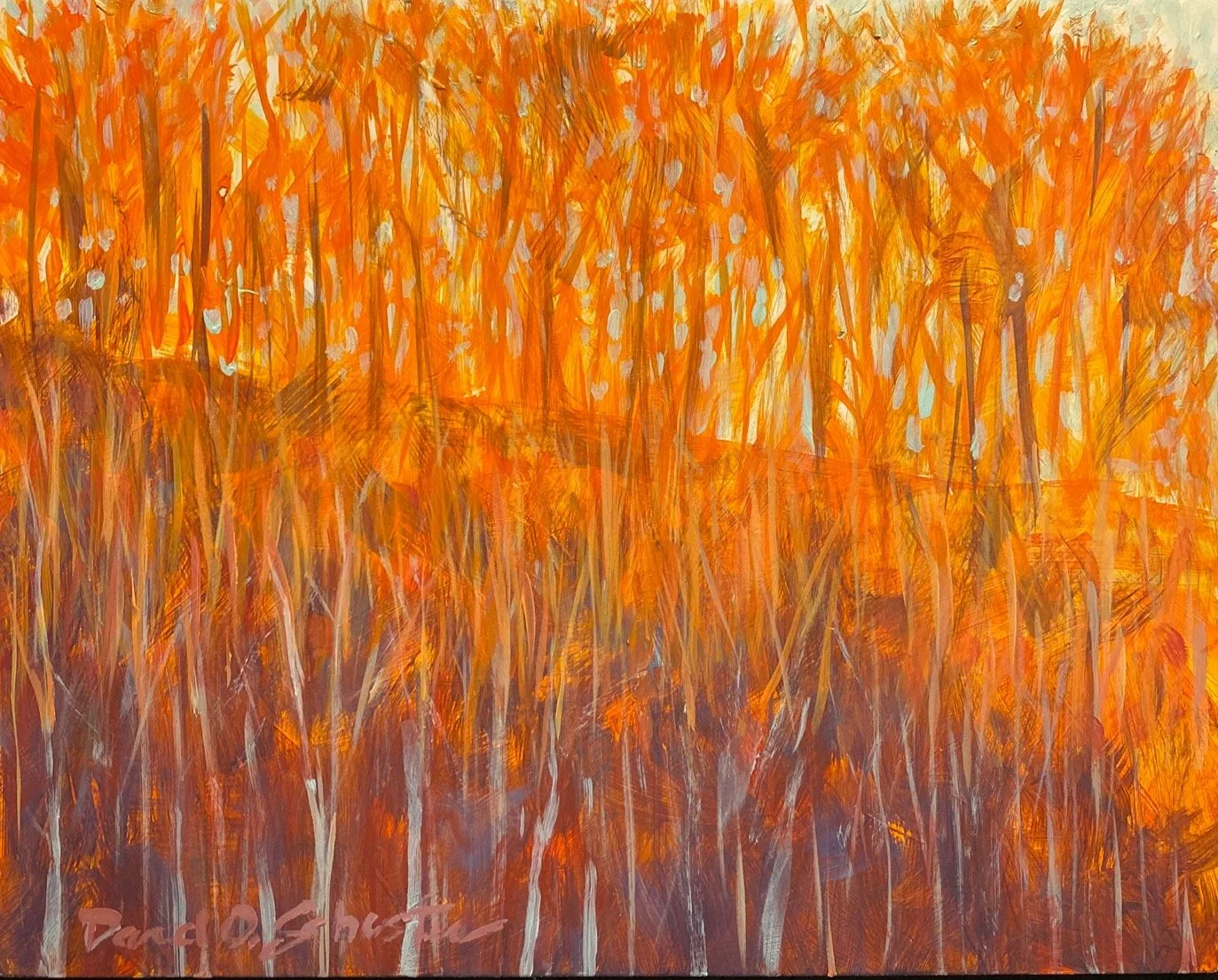 David O. Schuster, Holler