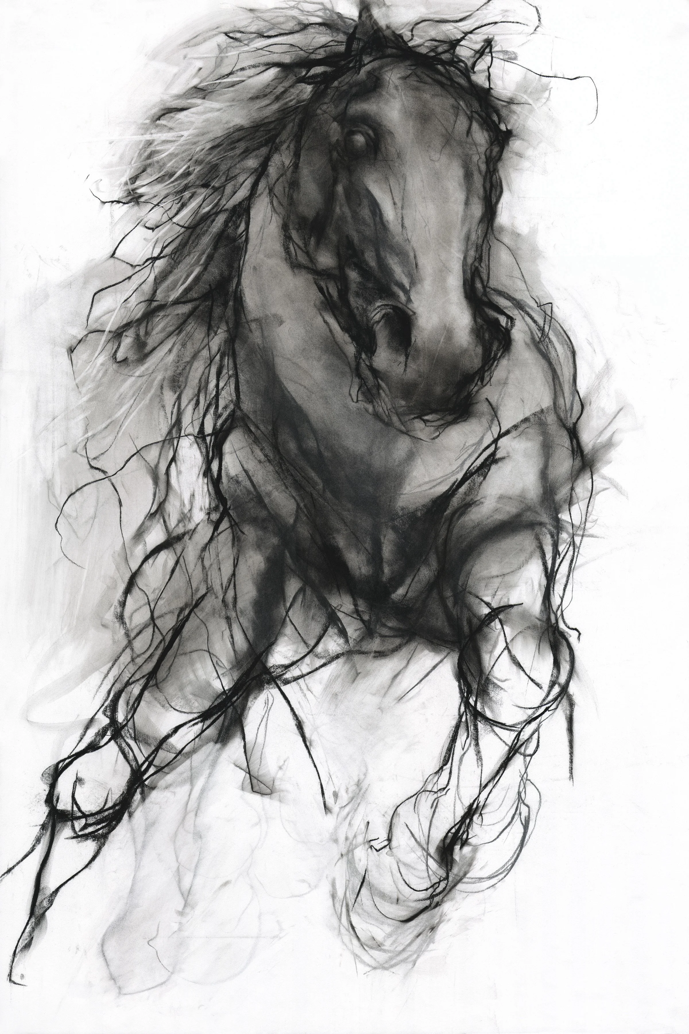  Jeaneen Barnhart, Equine Passion 