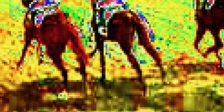  Robert Halliday, They’re Off 