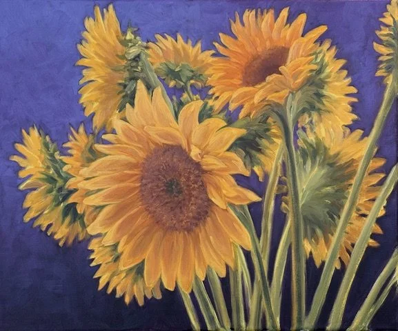 David O. Schuster, Sunflower Stretch