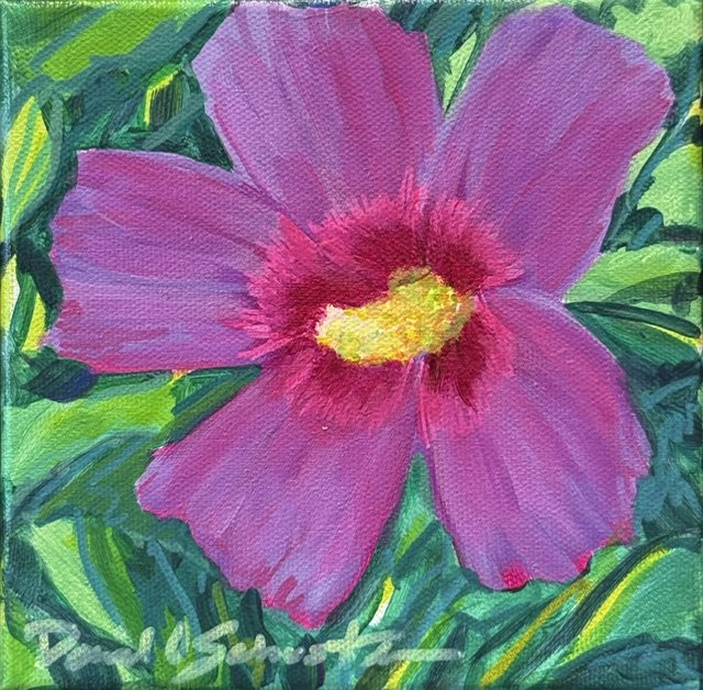 David O. Schuster, Color Bloom #5