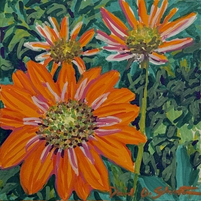 David O. Schuster, Color Bloom #16