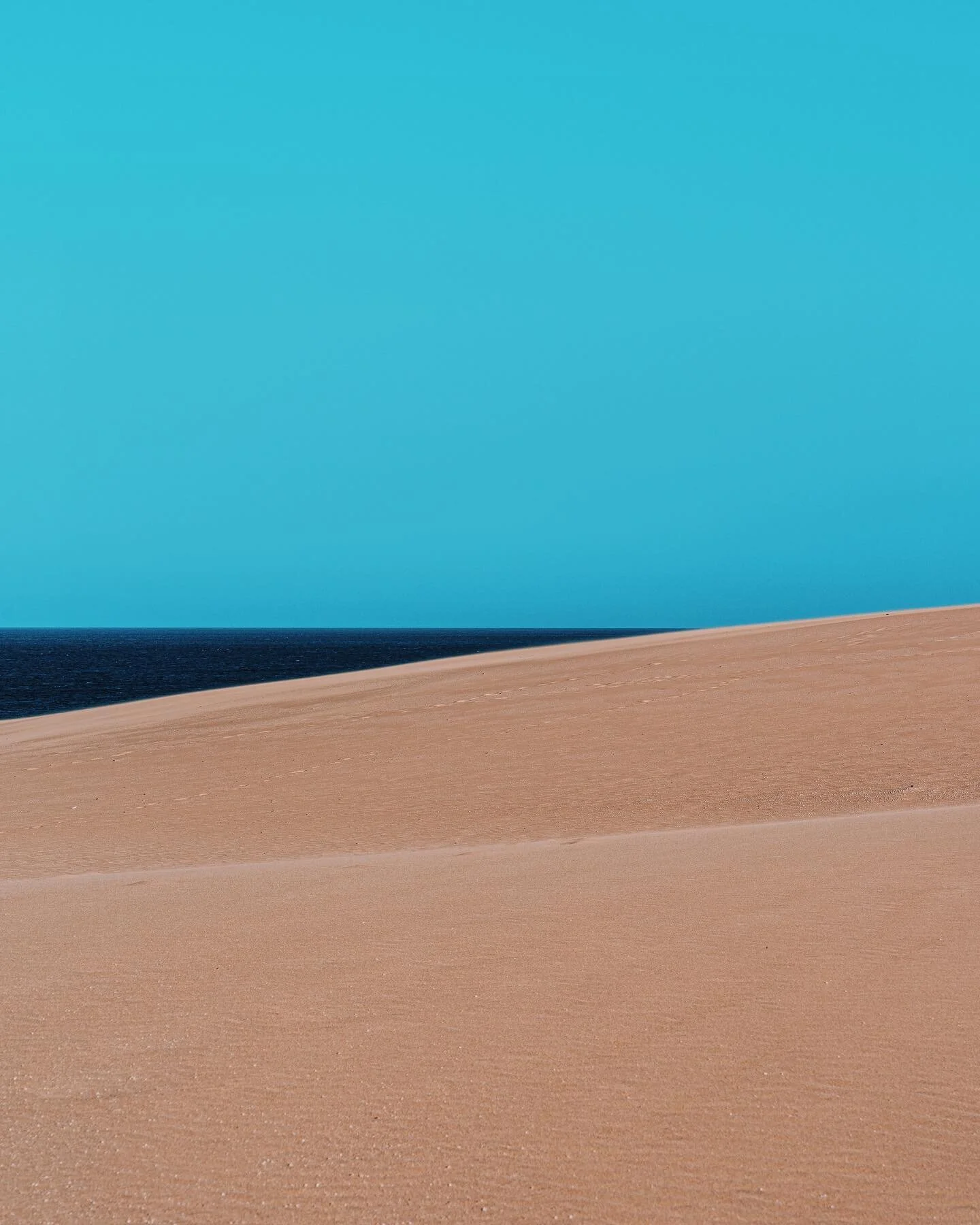 Geometry of carefree life.