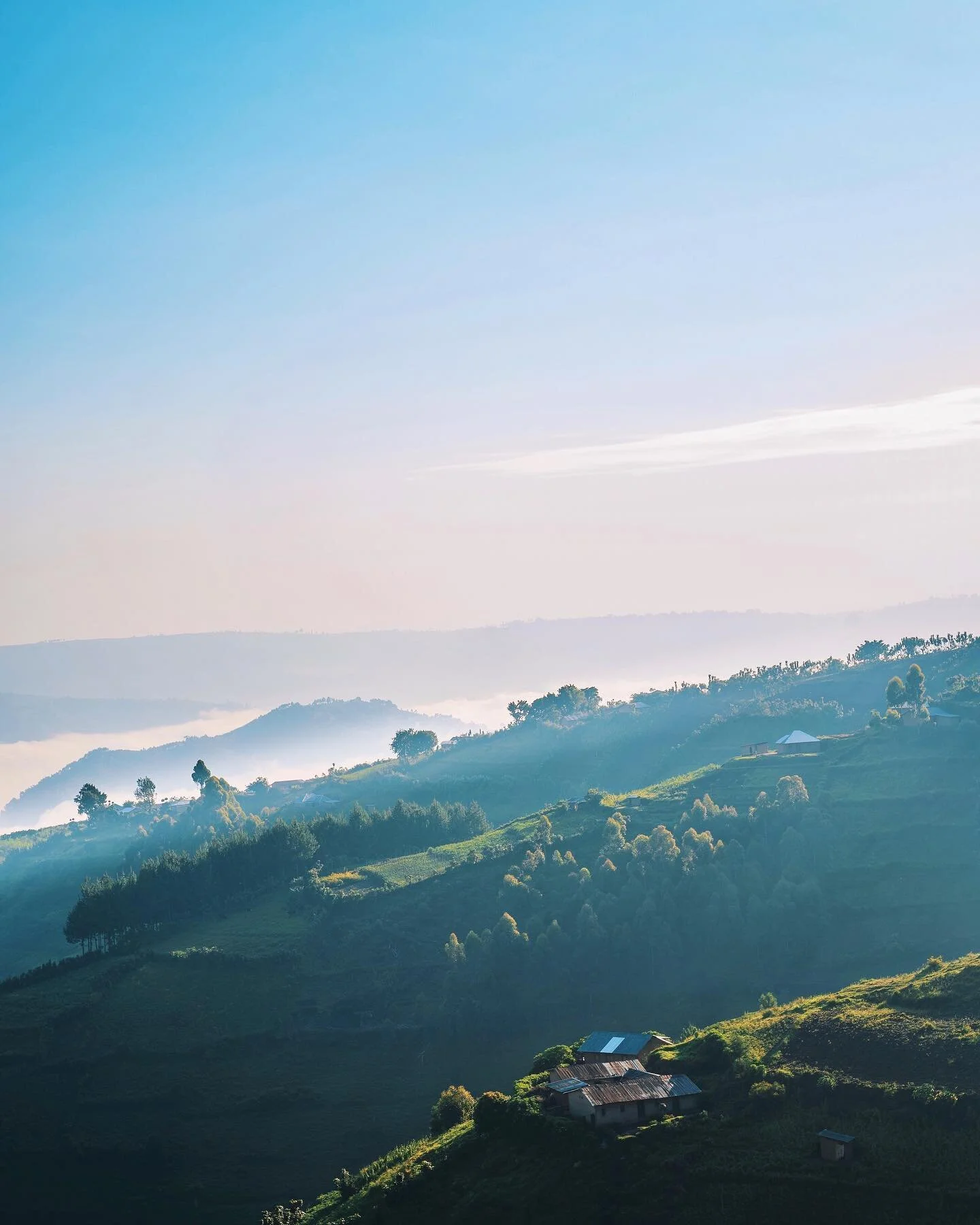 Scenes from the Ugandan Alps \\ When the first British colonists arrived to Kigezi -the southernmost district of Uganda- they called it the &ldquo;Switzerland of Africa&rdquo;. Indeed, lush green mountains and chilly weather is not what we imagine wh