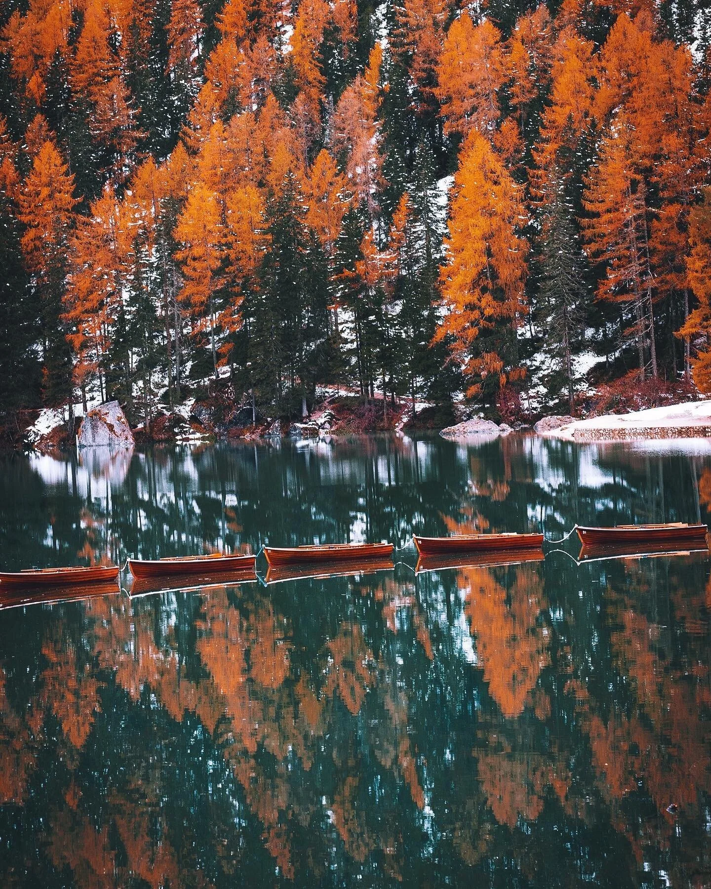 Autumn overdose