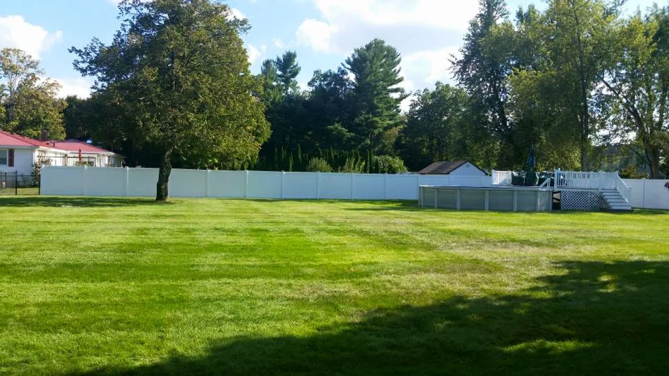 lawnmowed2.jpg
