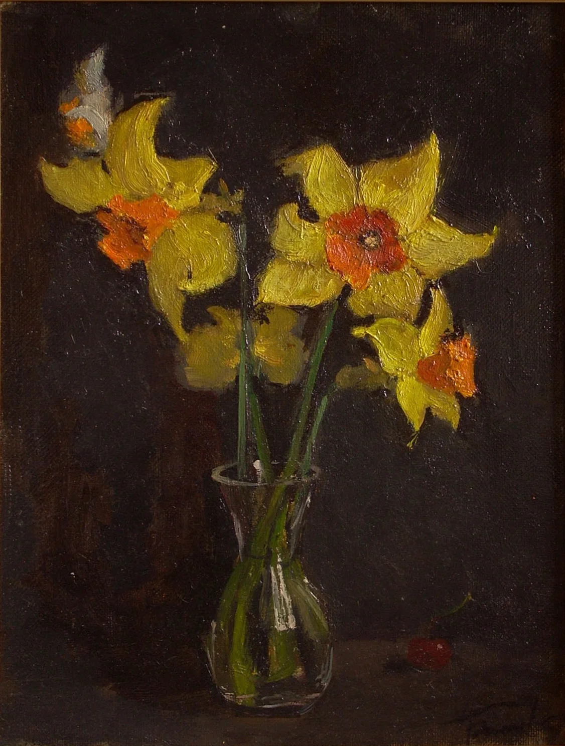 Daffodils