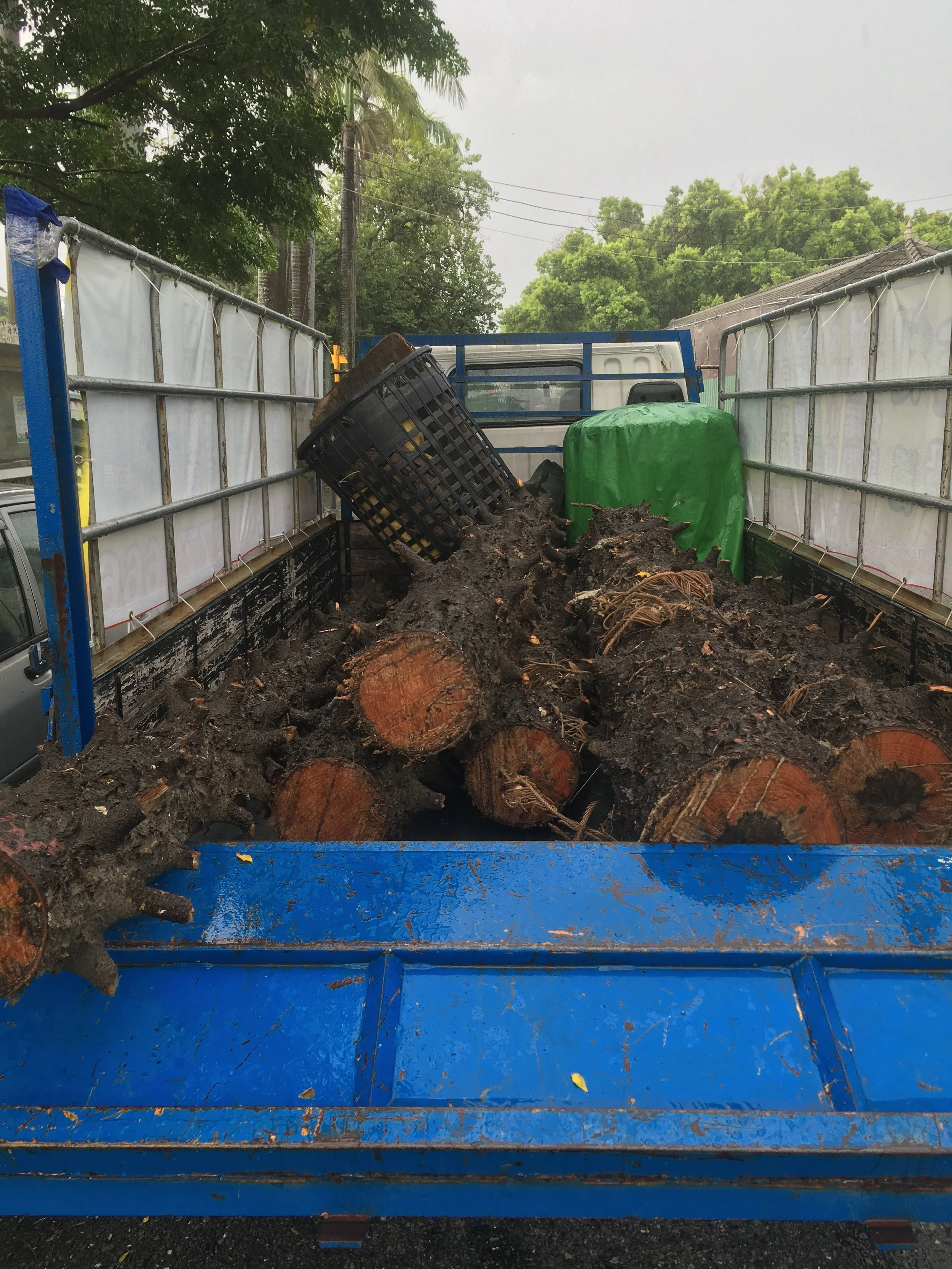 2016-08-08 08.35.09.jpg