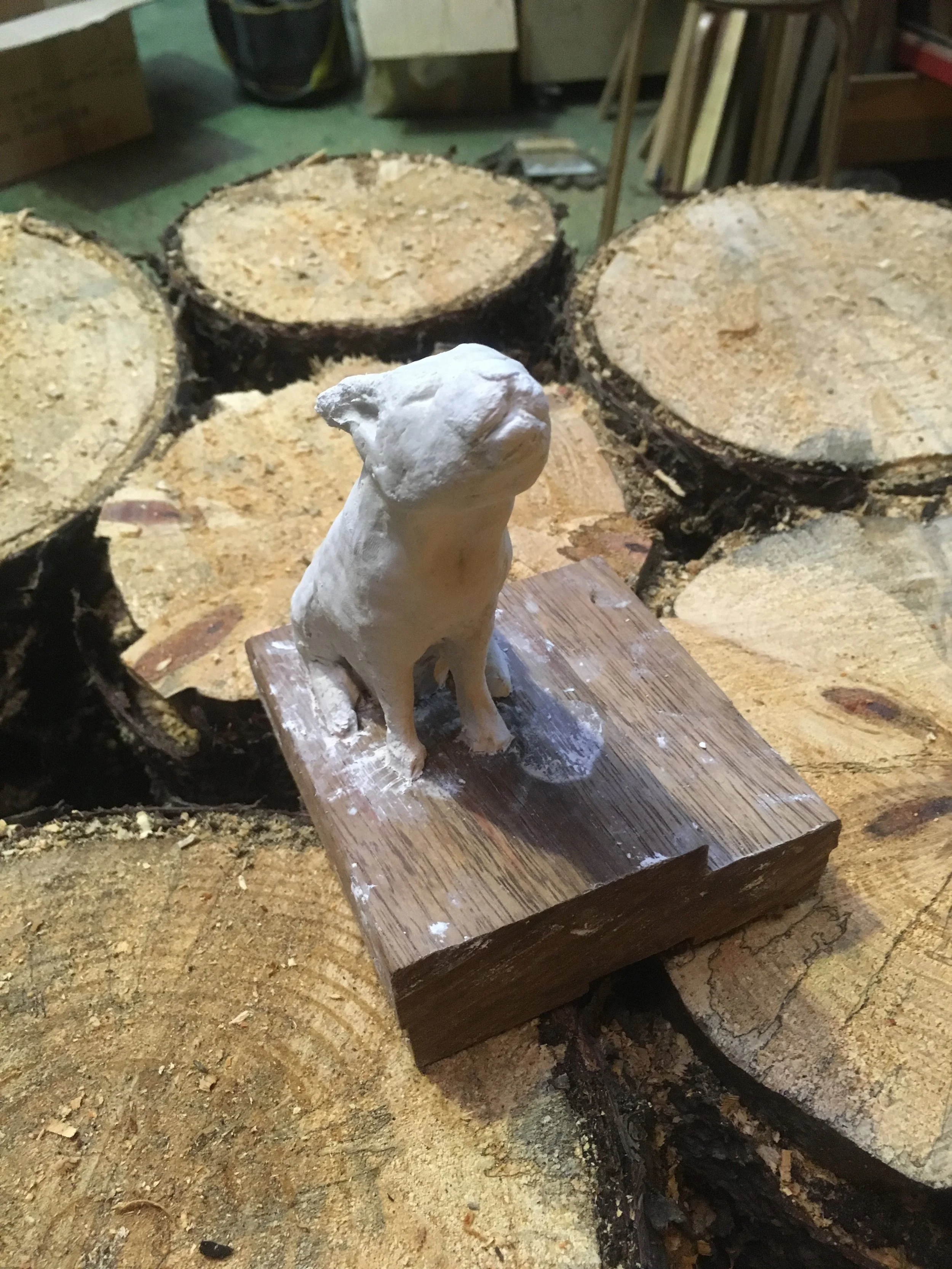 2016-09-09 21.10.57.jpg